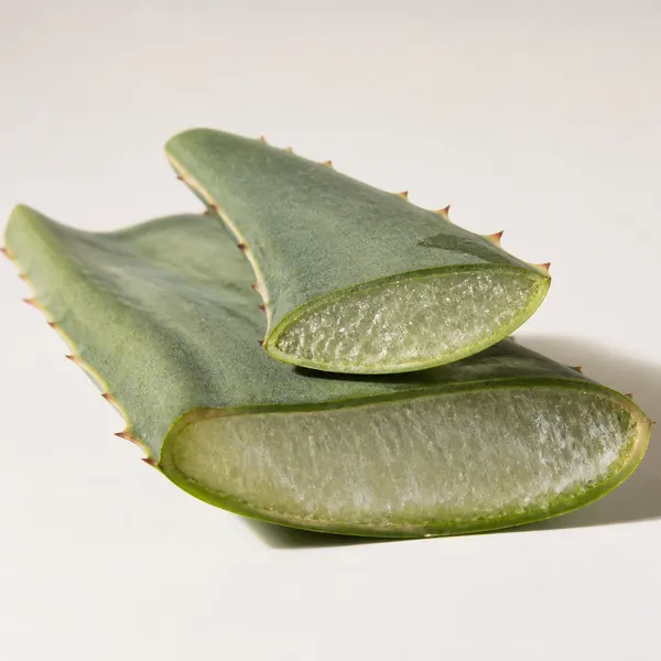 Agave Tequilana Leaf Extract