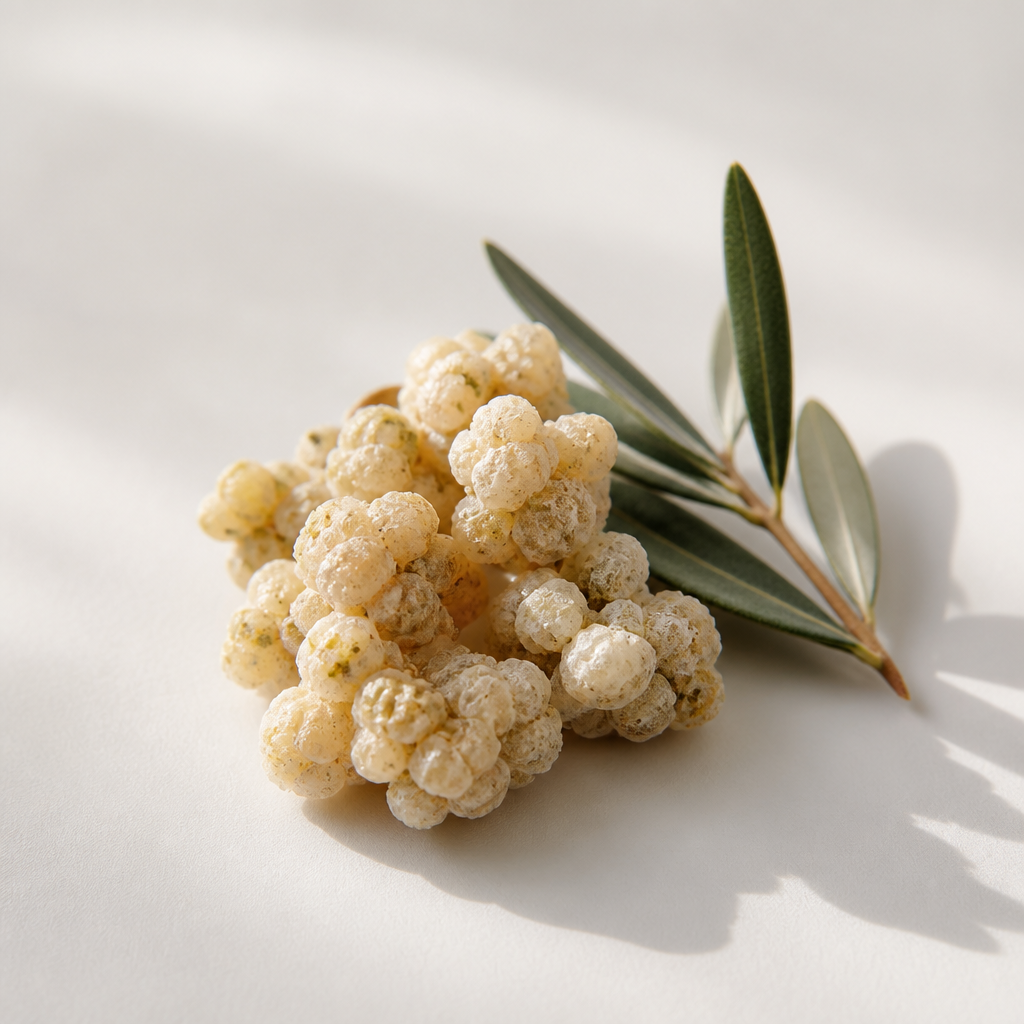 Argan Callus Culture Extract (Argania Spinosa)