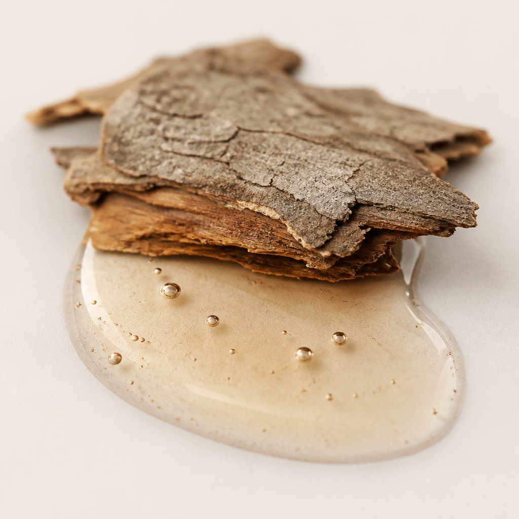 Boldo Tree Bark Extract