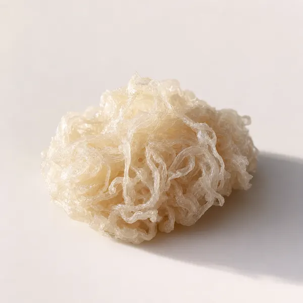 Elastin Protein