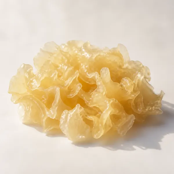 Film-forming Polysaccharides