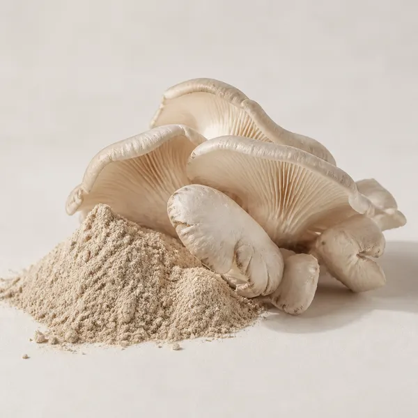 Mushroom Extract
