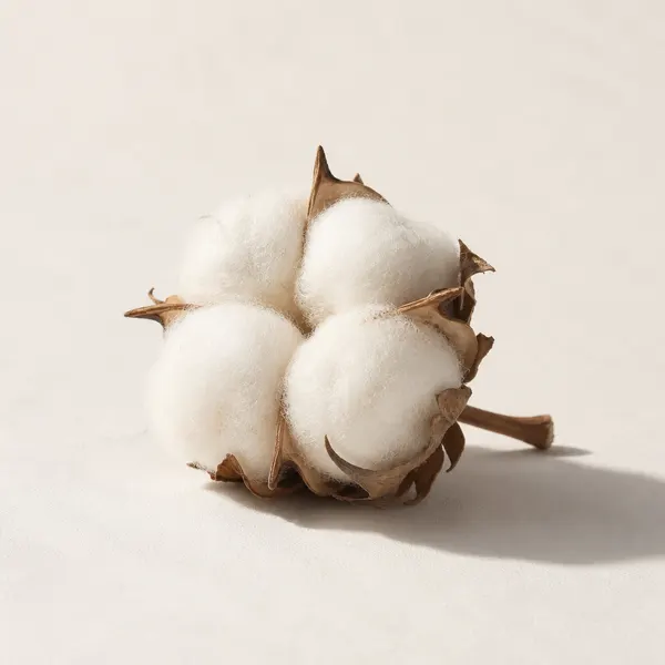 Organic Cotton