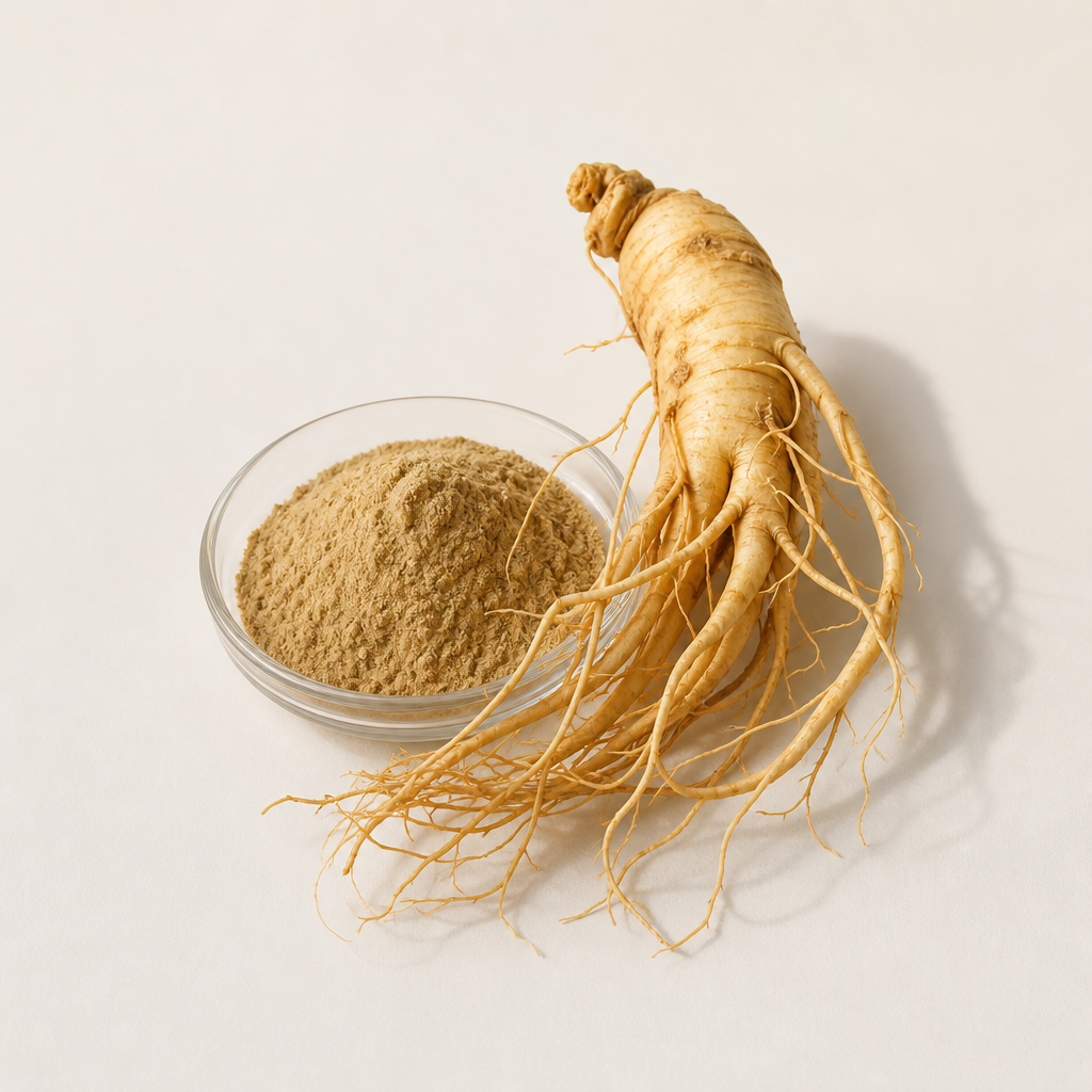 Panax Ginseng Root Extract