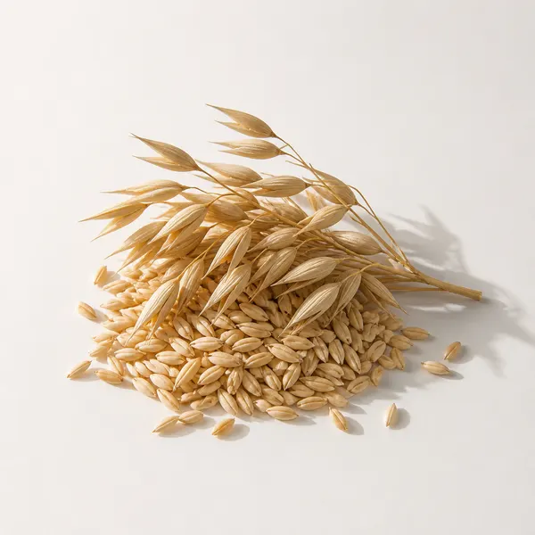 Prebiotic Oat
