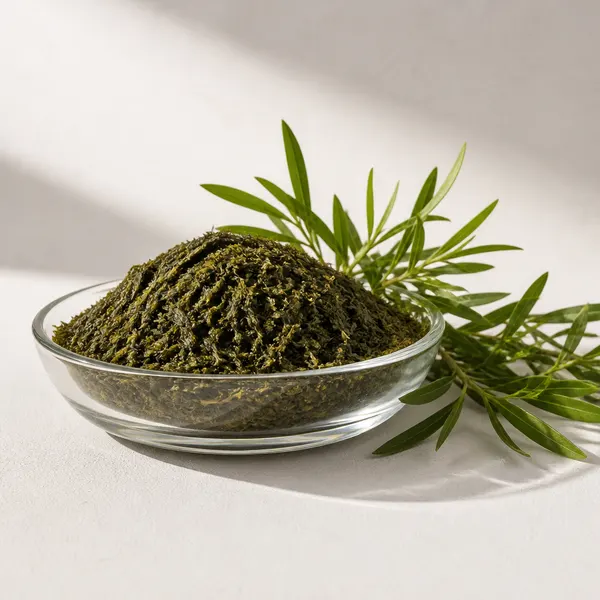 Tea Tree Leaf Extract