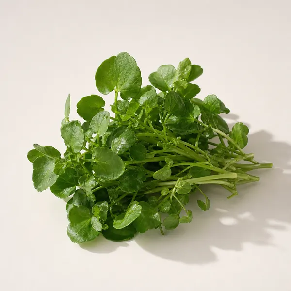 Watercress
